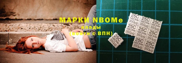 твердый Протвино