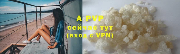 гашик Покачи