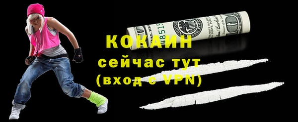 твердый Протвино
