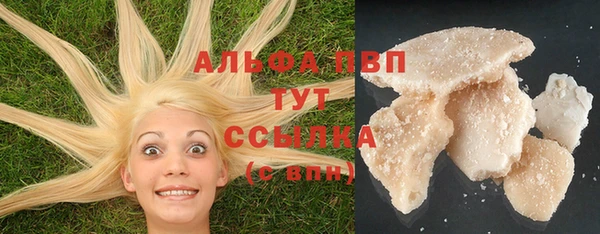 гашик Пролетарск