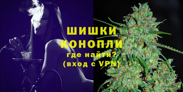 твердый Протвино