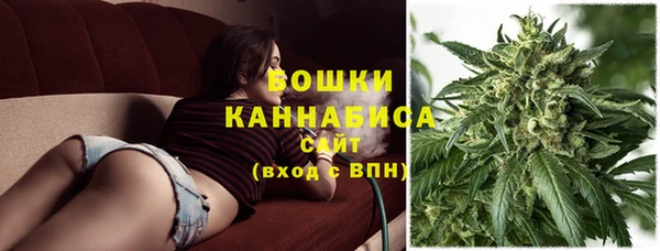 твердый Протвино