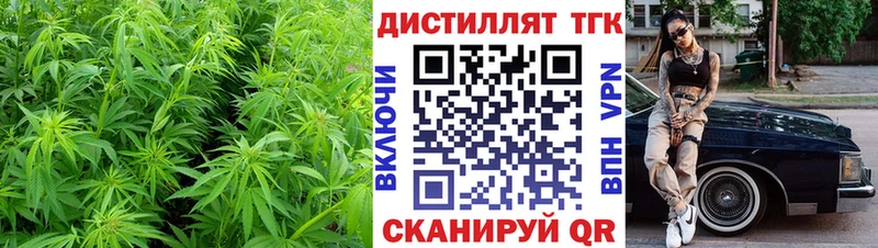 Купить  Лесозаводск  ТГК гашишное масло 