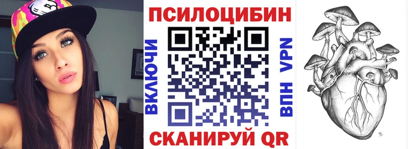 Купить закладки  Лесозаводск  Галлюциногенные грибы Psilocybe 